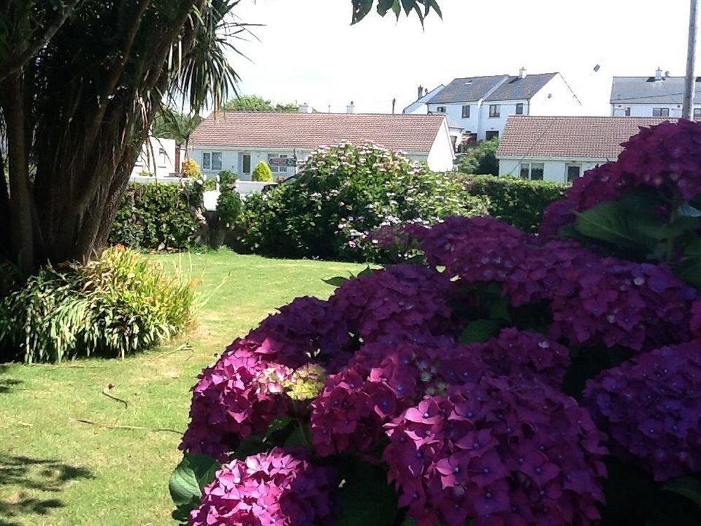 The Old Cable Historic House & Seafood Restaurant Otel Waterville Dış mekan fotoğraf