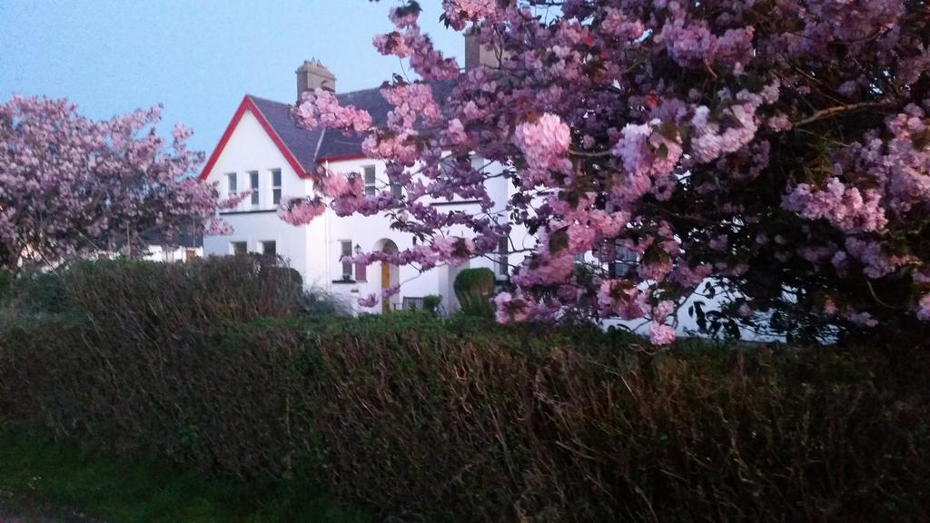 The Old Cable Historic House & Seafood Restaurant Otel Waterville Dış mekan fotoğraf